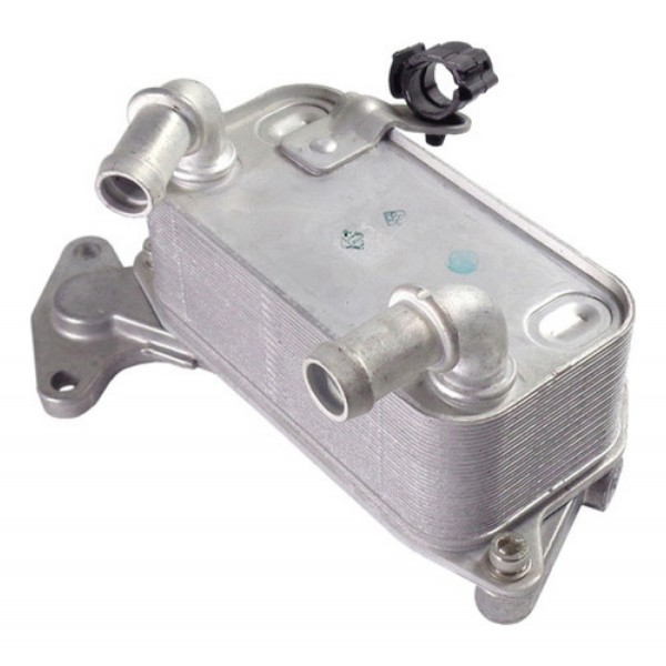 Radiador De Oleo Cambio Vw Passat,cc,variant 2007 A 2012