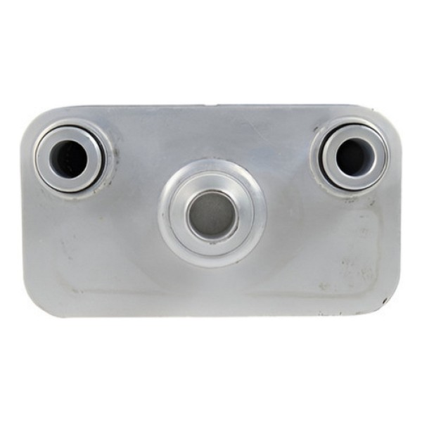 Radiador De Oleo Cambio Bmw X5 3.0 4.4 4.6 1998 A 2006