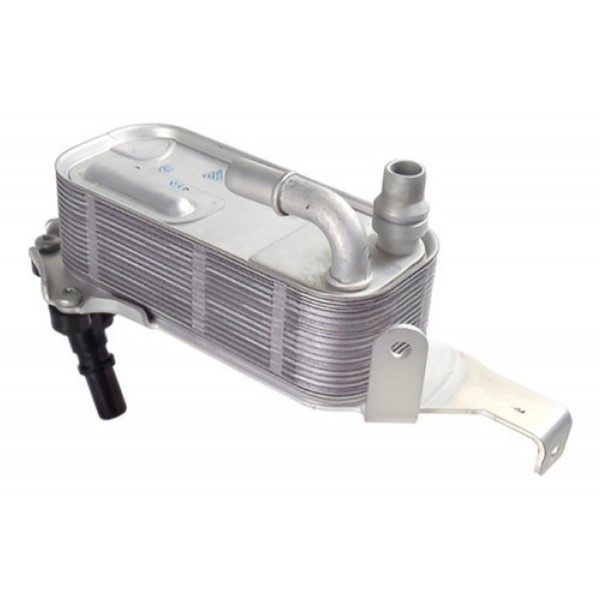 Radiador De Oleo Cambio Bmw X3 X4 2009|2018