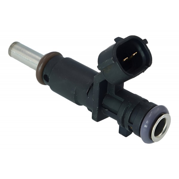 Bico Injetor Duster Captur Logan Sandero 1.6 18/ 166008992r