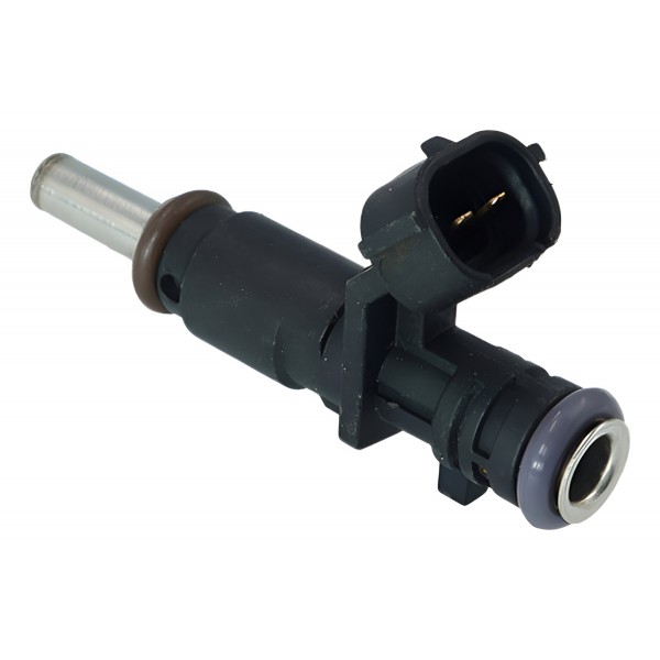 Bico Injetor Duster Captur Sandero 1.6 2018/2019 166008992r