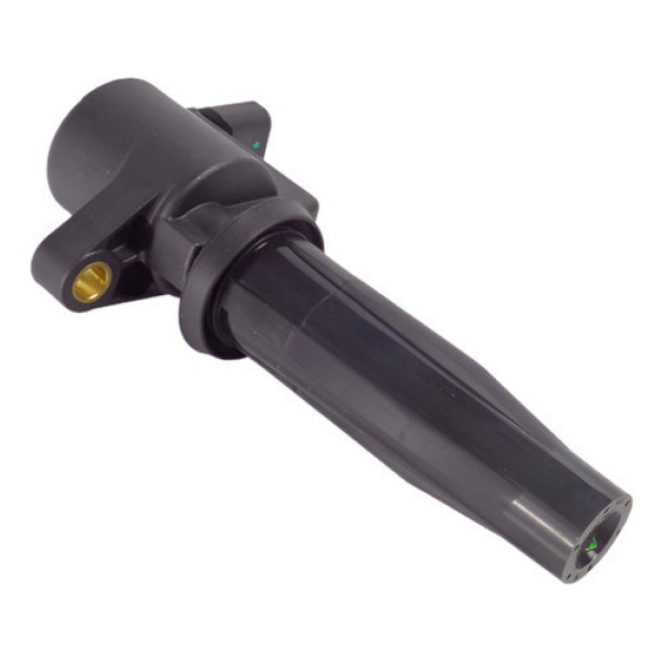 Bobina Ignição Ford Focus Ecosport 2.0 Duratec 4m5g12a366b