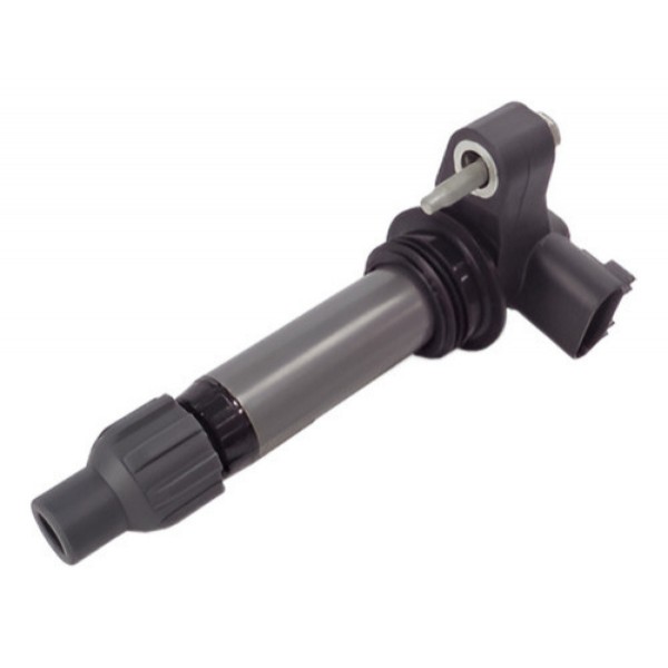 Bobina De Ignição Gm Captiva E Omega 3.6 V6 12610626