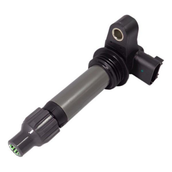 Bobina De Ignição Gm Captiva E Omega 3.6 V6 12610626