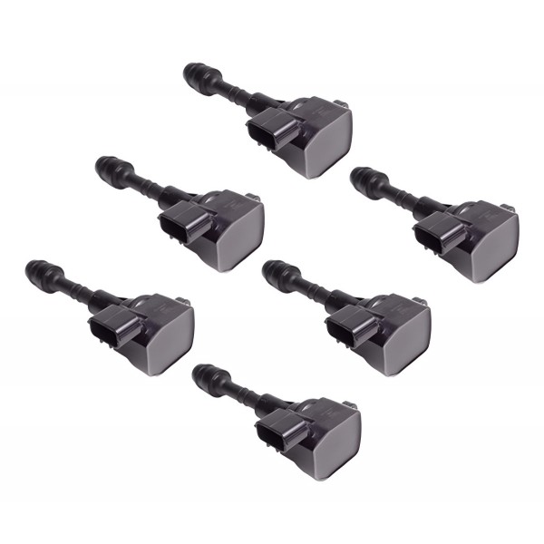 Jogo 6 Bobina Ignição Nissan Pathfinder 3.5 4.0 V6 01 A 08