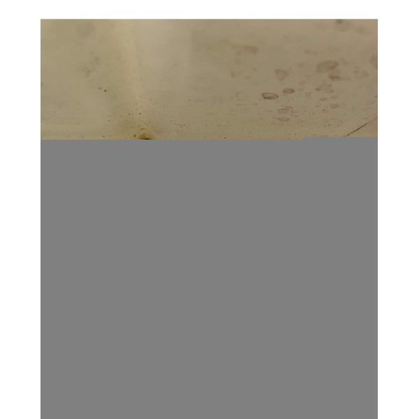 Reservatório Água Radiador Ford Focus 2014/2015/2016