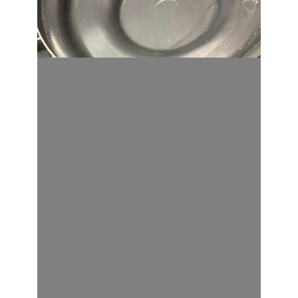 Capa Correia Dentada C4/307 2.0 9650469380