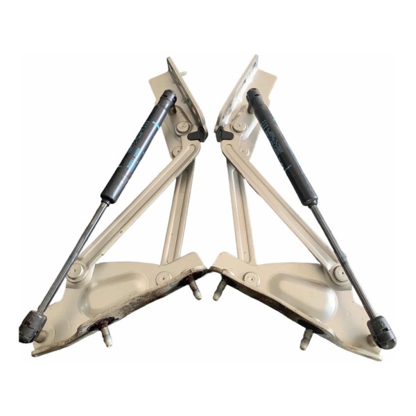 Braço Amortecedor Tampa Porta Malas Peugeot 408