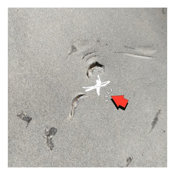 Parachoque Dianteiro Ford Fiesta 2011 2012 2013 2014