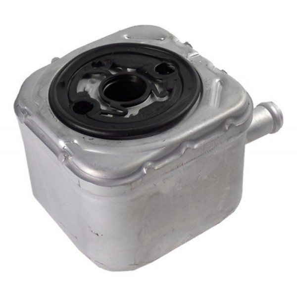 Resfriador De Calor Oleo Motor Audi A4 2.4 3.0 028117021h