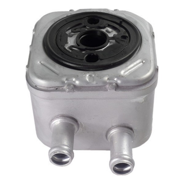 Resfriador De Calor Oleo Motor Audi A4 2.4 3.0 028117021h