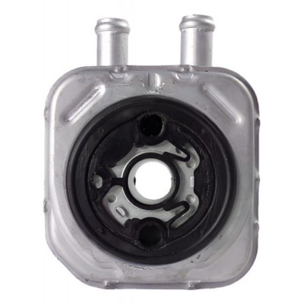 Resfriador De Calor Oleo Motor Audi A4 2.4 3.0 028117021h