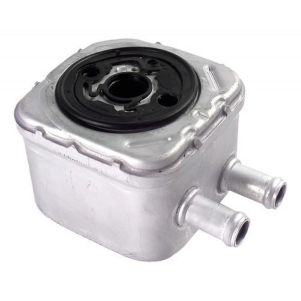 Resfriador De Calor Oleo Motor Audi A4 2.4 3.0 028117021h