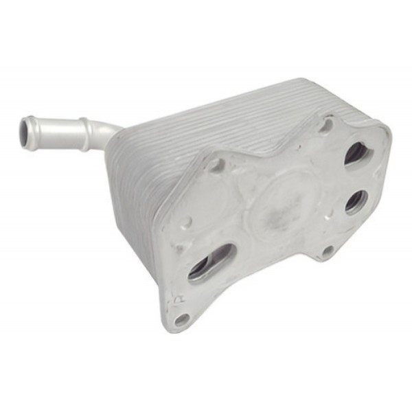 Radiador Resfriador Oleo Do Motor A3 A4 Passat Golf 2.0 Tfsi