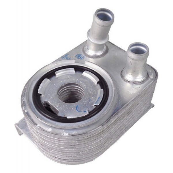 Resfriador Trocador De Calor Do Motor Jeep Compass 05048119a