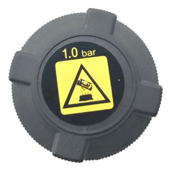 Reservatorio Agua Nissan Frontier Xterra 2.8 Mwm 2003 A 2008