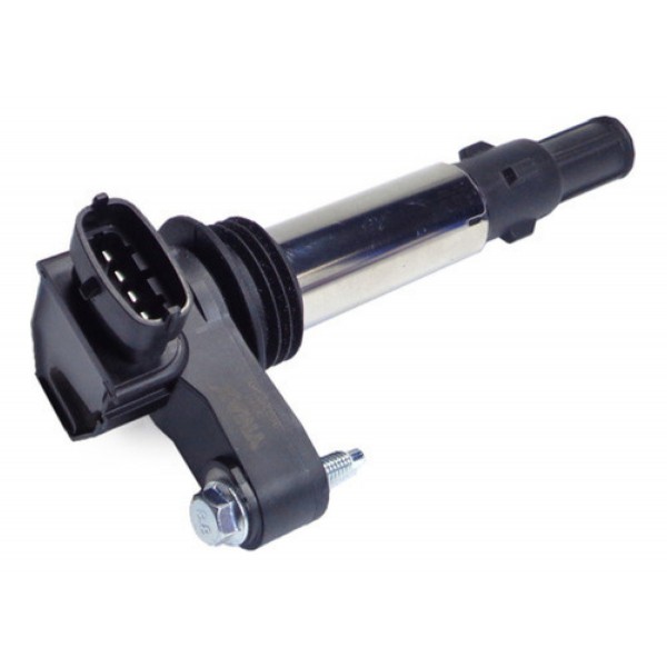 06 Bobina De Ignição Captiva E Omega 3.6 V6 0221604104 Novo