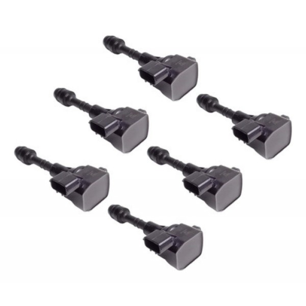 Jogo 6 Bobina Ignição Nissan Pathfinder 3.5 4.0 V6 01 A 08