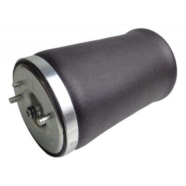 02 Bolsas Ar Suspensão Traseira Direito Esquerdo Bmw X5 E53